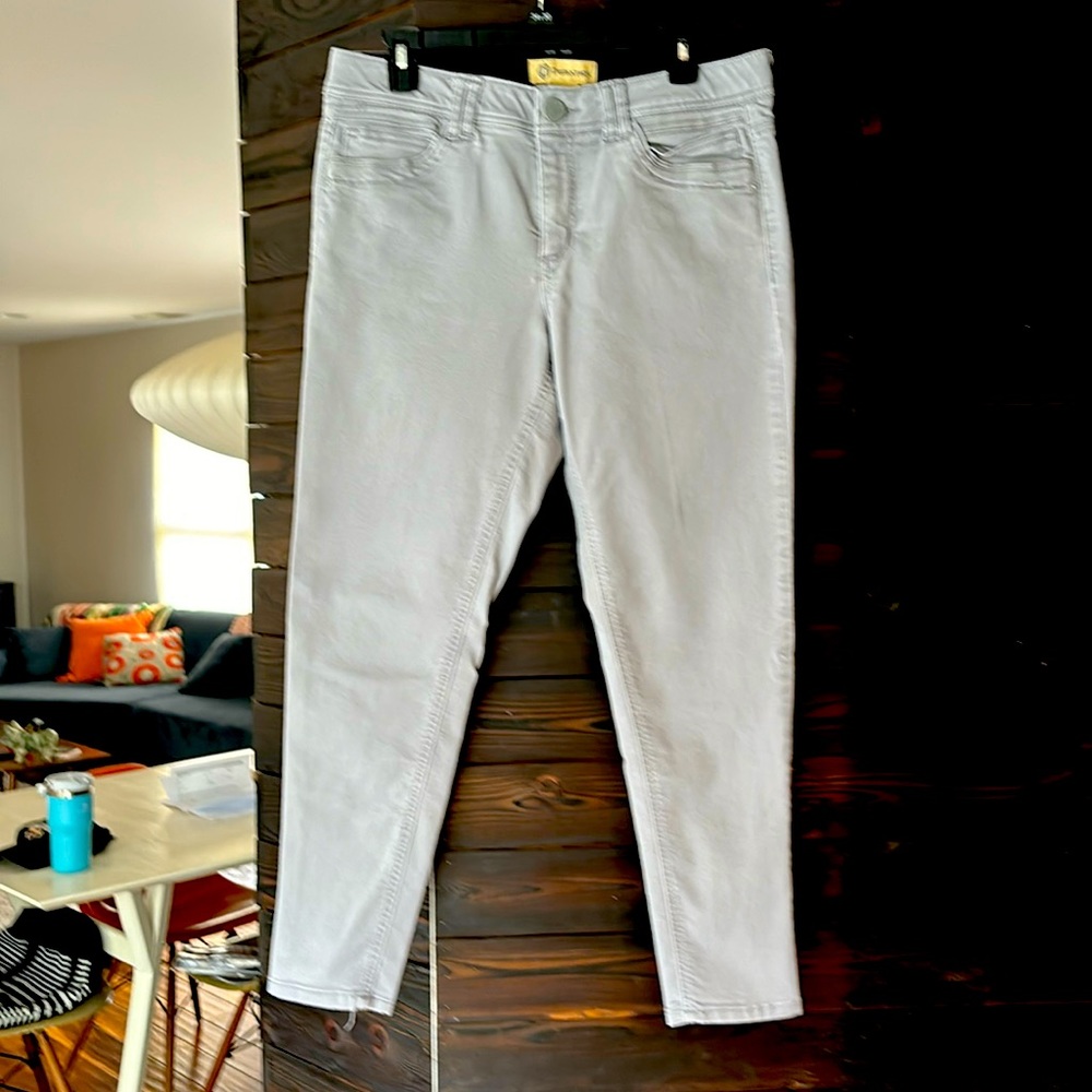 Democracy gray jean